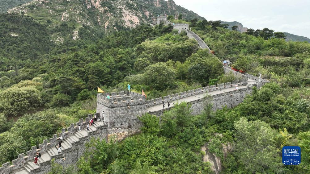 巴黎人真钱登录
